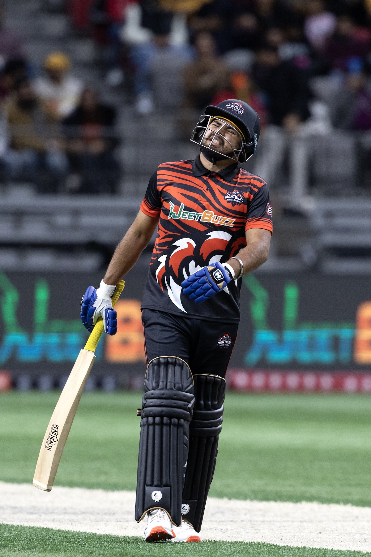 Canada Super 60 Match 16 — Brampton Blitz vs Montreal Royal Tigers — photo 5